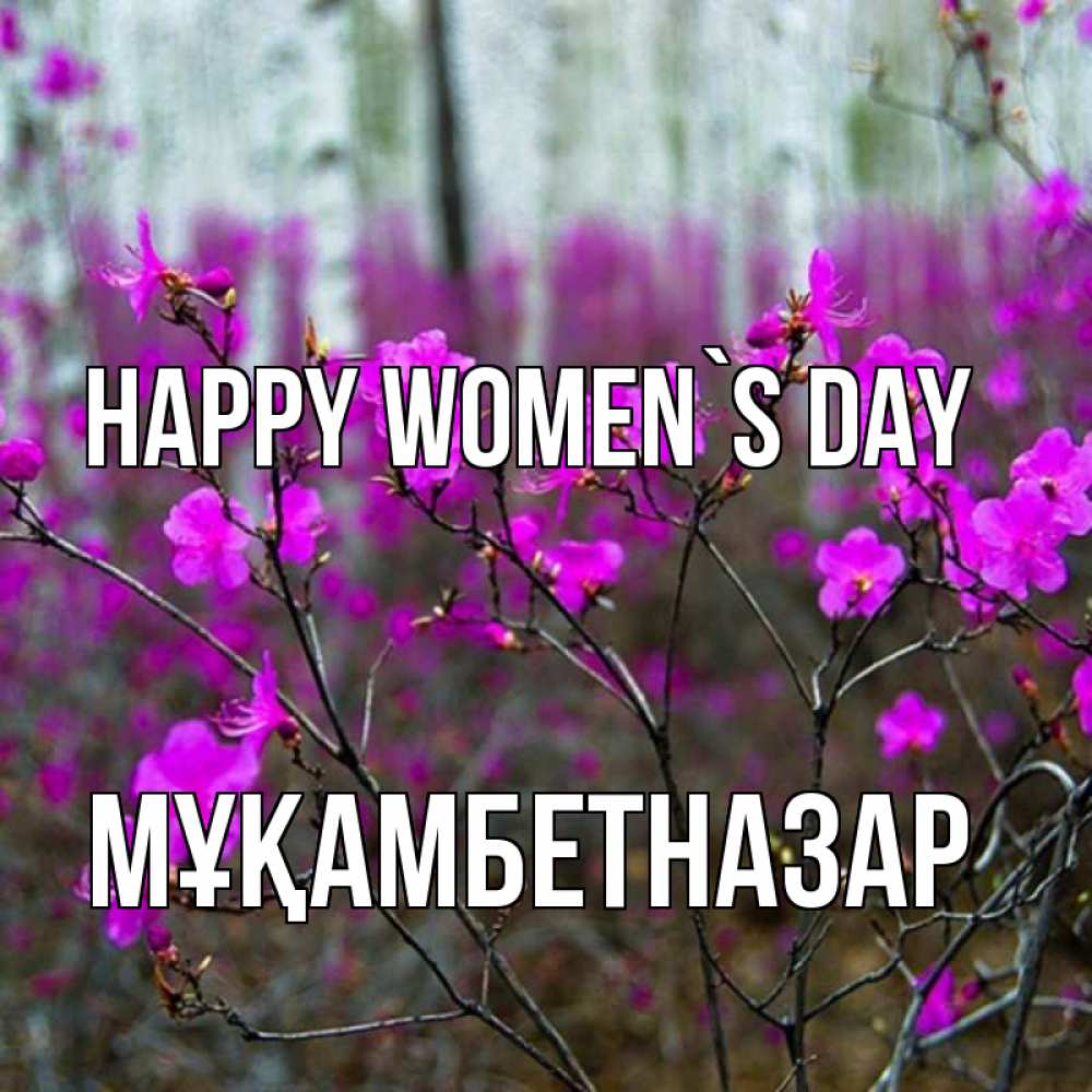 Greetings card с именем, Мұқамбетназар happy women`s day дикие цветы Greetings with text for free download 